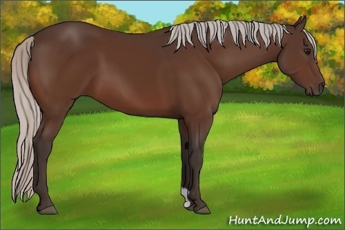 Horse Color:Silver Brown 