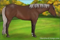 Horse Color:Silver Brown