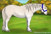 Horse Color:Perlino Sabino  and Perlino Sabino 