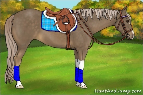 Horse Color:Chocolate Palomino 