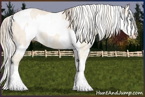 Horse Color:Silver Perlino Sabino and Perlino Sabino Frame