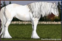 Horse Color:Silver Perlino Sabino  and Perlino Sabino Frame 