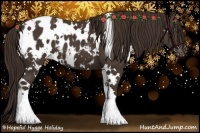 Horse Color:White Spotted Liver Chestnut Appaloosa