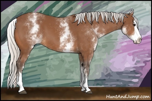 Horse Color:White Spotted Silver Bay Splash