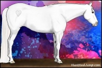 Horse Color:Silver Buckskin Roan Splash Blanket 