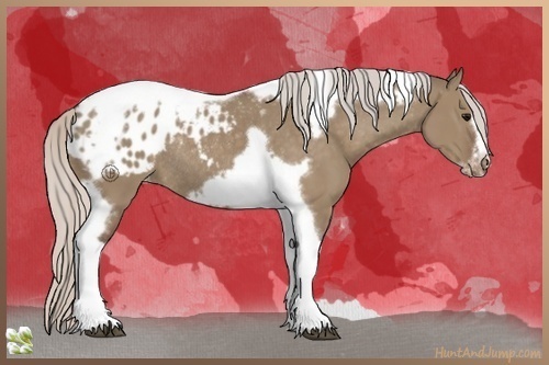 Horse Color:Silver Grullo Tobiano Frame Appaloosa Rabicano