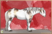 Horse Color:White Spotted Silver Brown Onyx Frame 