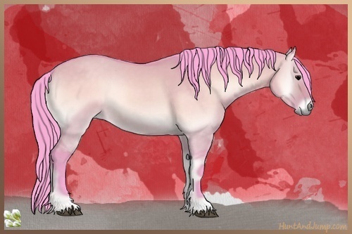 Horse Color:Watercolor Brown Onyx