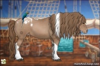 Horse Color:Black Pearl Tobiano Varnish Rabicano