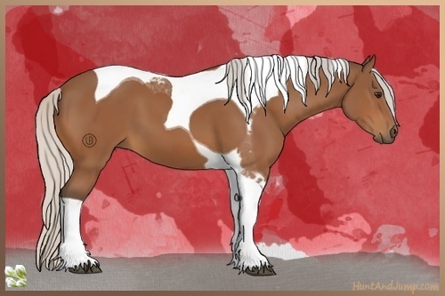 Horse Color:Silver Bay Tobiano