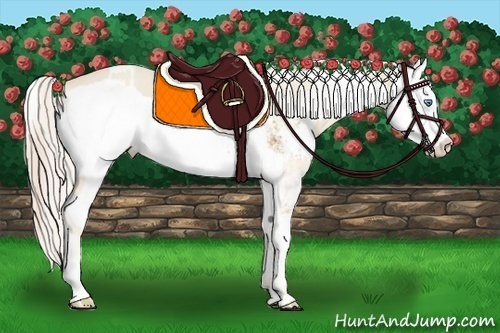 Horse Color:Cremello Sabino  and Palomino Sabino 