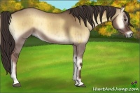 Horse Color:Liver Red Dun Onyx Brindle