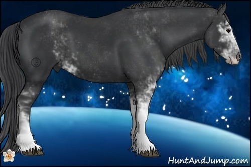 Horse Color:Black Sabino