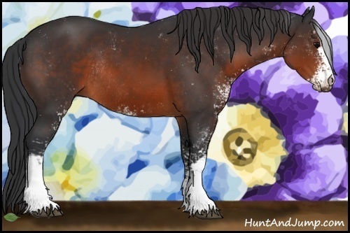 Horse Color:Brown Sabino Rabicano