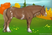 Horse Color:White Spotted Chestnut Splash 