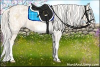 Horse Color:Cremello Sabino Appaloosa  and Cremello Sabino Splash 