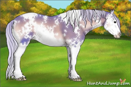 Horse Color:Watercolor White Spotted Silver Blue Onyx Splash 