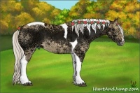 Horse Color:Silver Buckskin Ice Dun Tobiano 