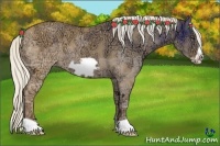 Horse Color:Silver Buckskin Ice Dun Frame