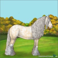 Horse Color:Silver Buckskin Ice Dun 