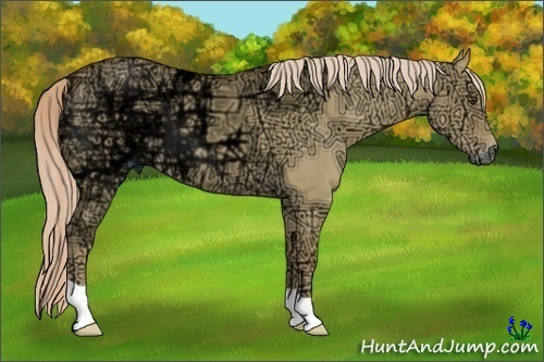 Horse Color:Palomino Ice Dun 