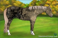 Horse Color:Palomino Ice Dun