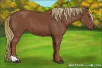 Horse Color:Chestnut Tobiano