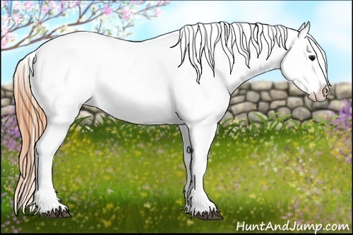 Horse Color:Buckskin Roan Varnish Rabicano