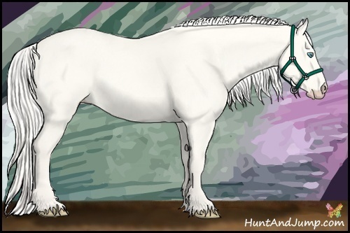 Horse Color:Cremello Dun 