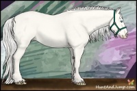 Horse Color:Cremello Dun 