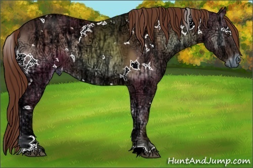 Horse Color:White Spotted Red Onyx Ice 
