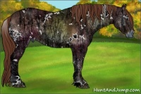 Horse Color:White Spotted Red Onyx Ice
