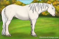 Horse Color:Silver Smoky Creme 