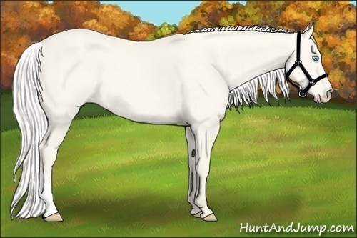 Horse Color:Silver Smoky Creme 