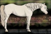 Horse Color:Smoky Creme 