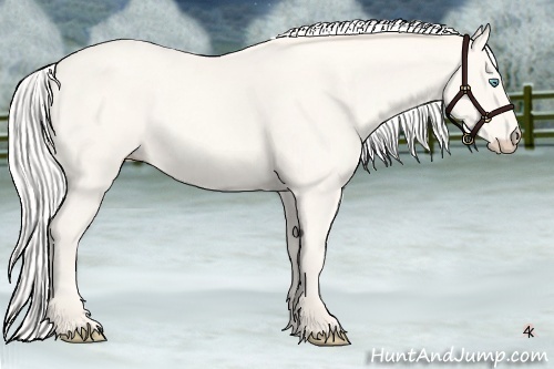 Horse Color:Silver Smoky Creme 