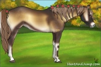 Horse Color:Liver Red Onyx 