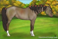 Horse Color:Liver Red Dun 