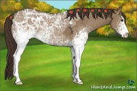 Horse Color:White Spotted Liver Red Dun Ice Sabino