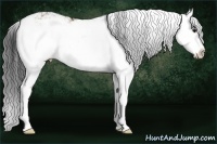 Horse Color:Brown Dun Sabino Splash