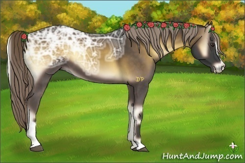 Horse Color:Chocolate Palomino Ice Onyx Sabino 