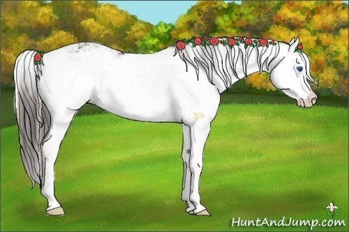 Horse Color:Liver Red Onyx Sabino Splash 