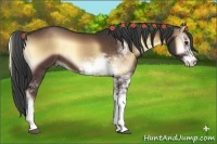 Horse Color:Liver Red Onyx Sabino