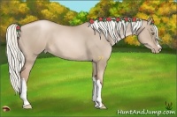 Horse Color:Liver Red Dun Pearl