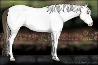 Horse Color:White Spotted Classic Cream Champagne 