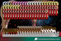 Horse Color:Black Pearl Sabino Tobiano Rabicano 