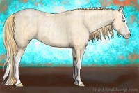 Horse Color:Buckskin Roan Pearl  and Buckskin Roan Pearl Splash 