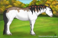 Horse Color:Bay Roan Dun Splash Frame Rabicano