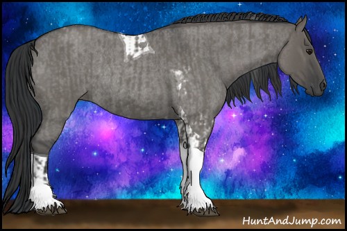 Horse Color:Grullo Roan Tobiano  and Grullo Roan Tobiano Rabicano 