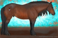 Horse Color:Bay and Bay